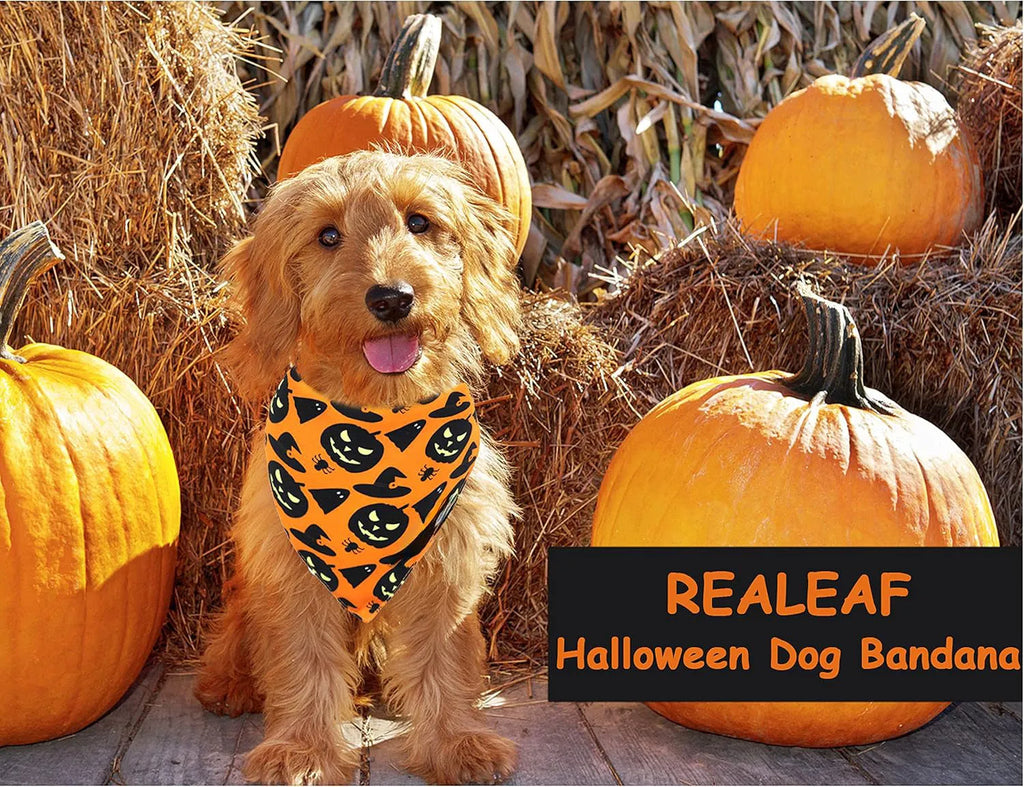 Black and orange reversible Halloween dog bandana with pumpkin and spider web patterns lying flat.