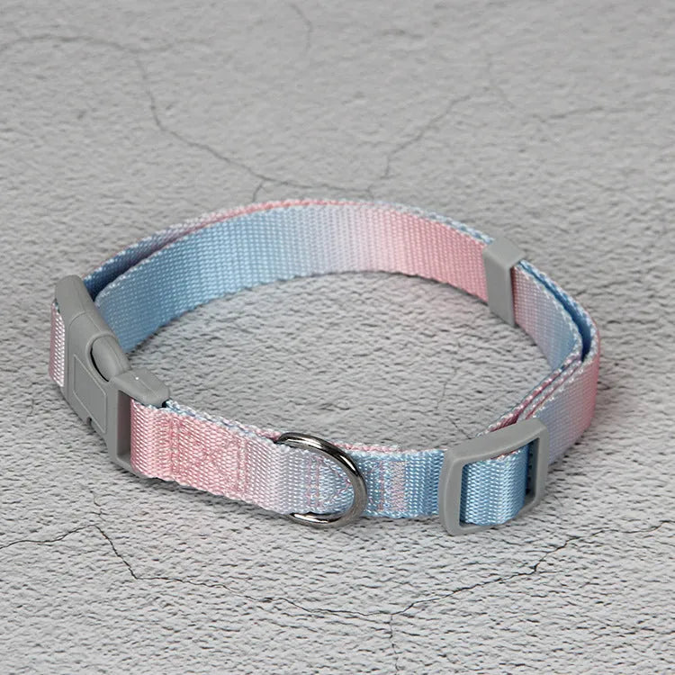Nylon dog leash and gradient colour collar set in pink and blue, showing S and M size options.