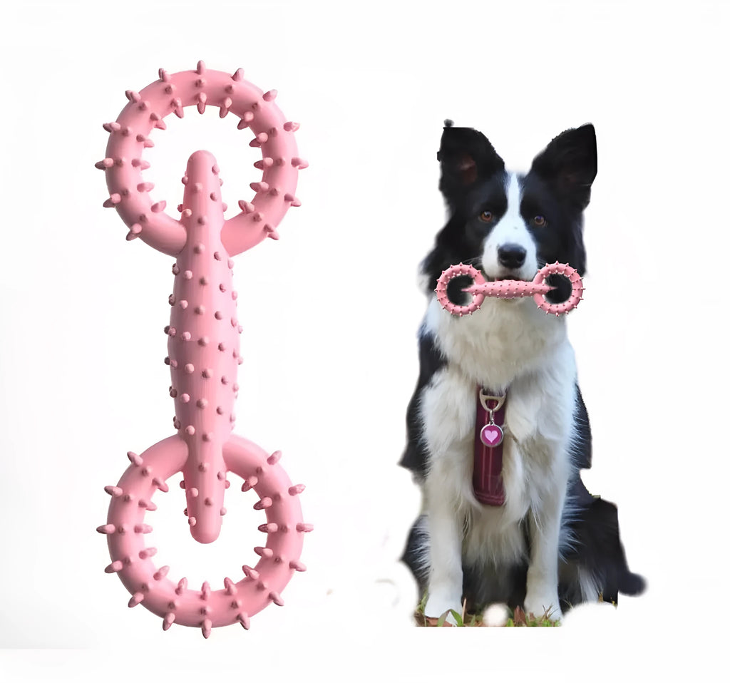 Blue TPR dog chew toy ring measuring 16cm in diameter for teething puppies