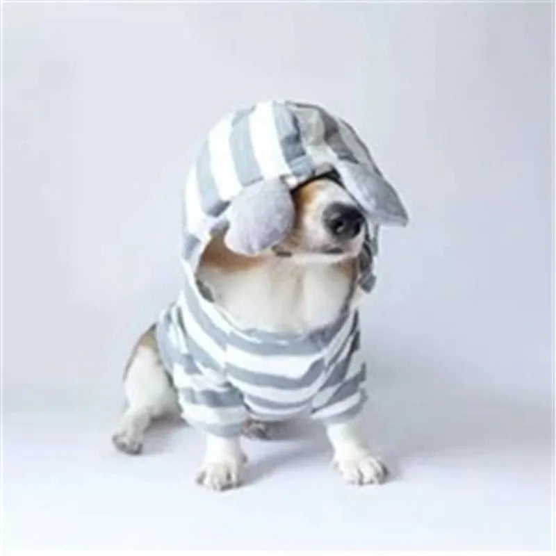 Grey striped cotton sweater for small dogs and cats, pullover design, available in multiple sizes