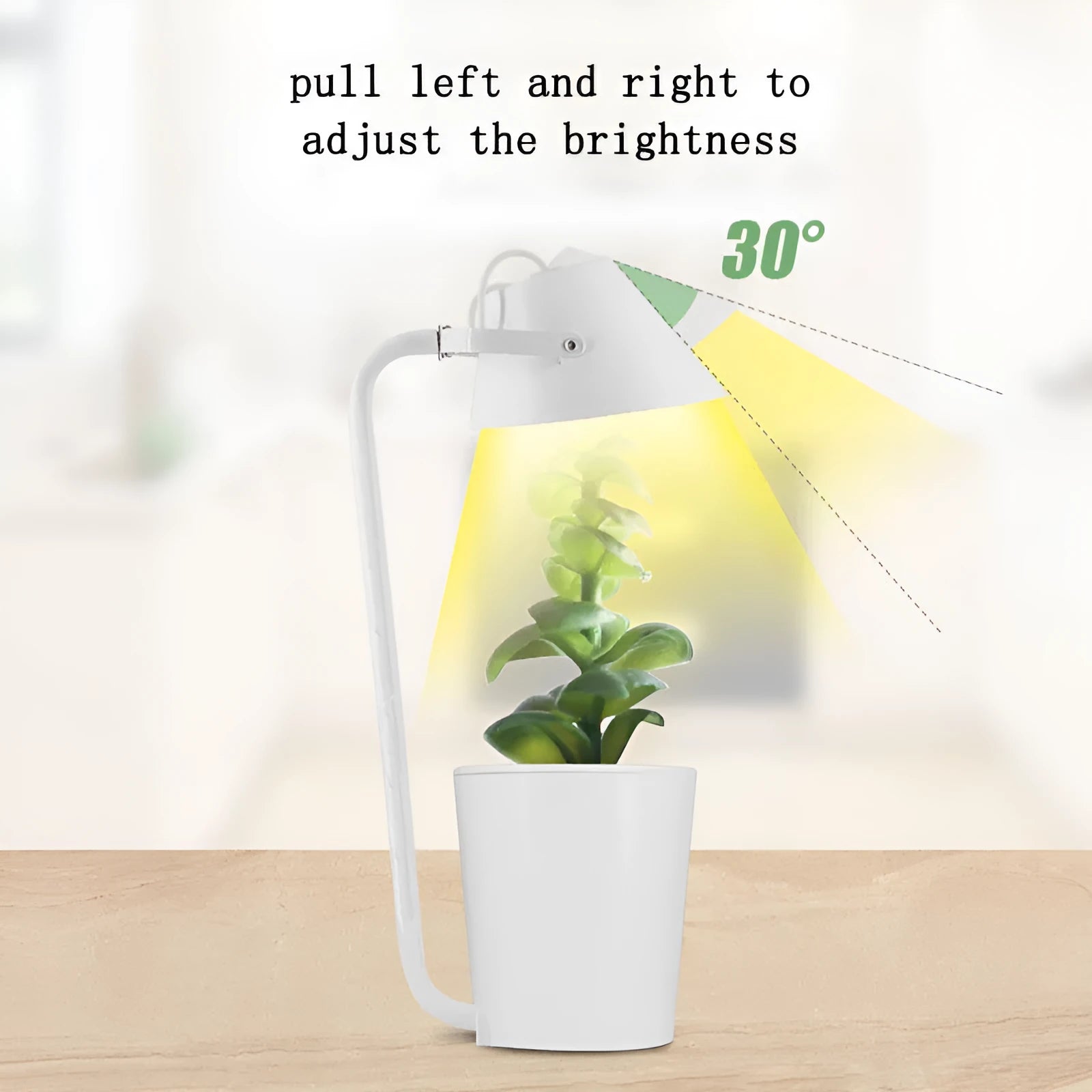 White plastic desktop hydroponic growing system for soilless plant cultivation.