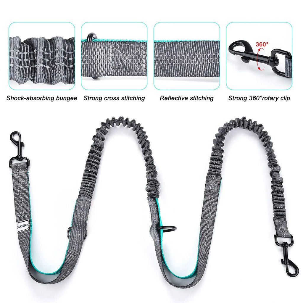 Black nylon outdoor pet training waist bag set with adjustable dog walking leash for hands-free control