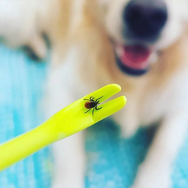 Three plastic tick removal hooks for pets in blue or green colours with alcohol application instructions