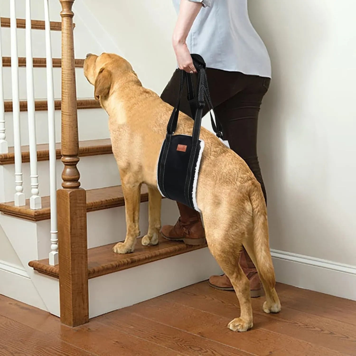 Portable dog sling supporting hind legs, with adjustable reflective straps and soft lining.