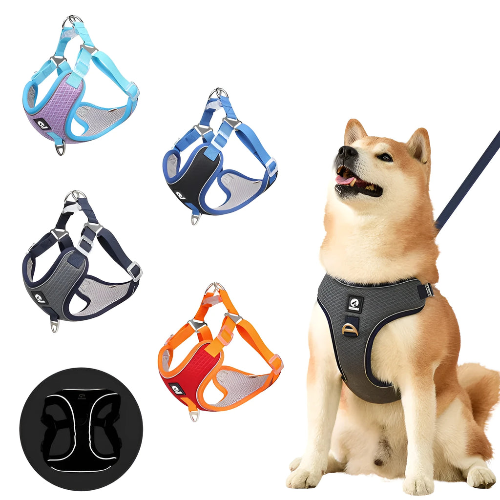 Adjustable breathable mesh dog harness with reflective piping in four colour options