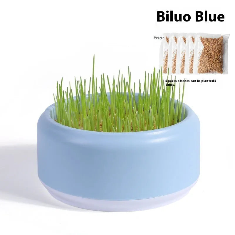 Hydroponic cat grass kit with soilless cup and five seed packs in blue, green, or yellow colours