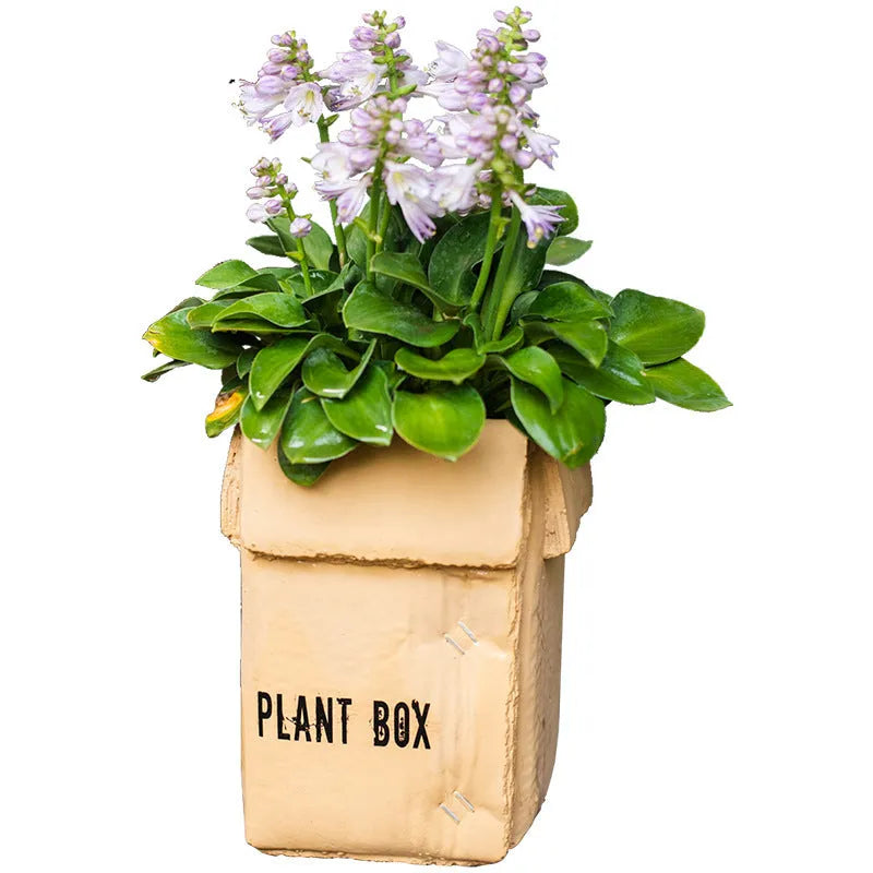 Cement brown paper box design flowerpot with drainage holes for indoor planting