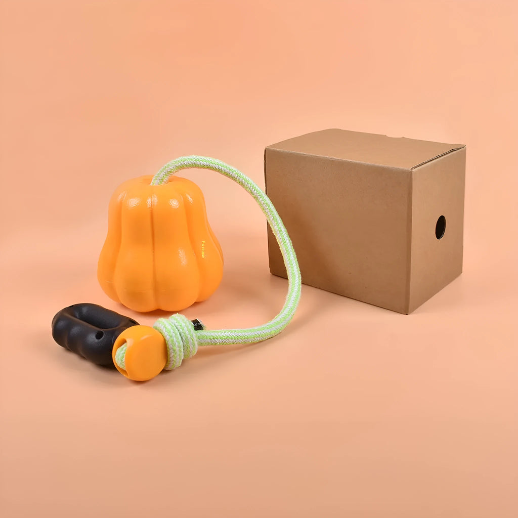 Pumpkin-shaped plastic molar dog toy with rope attached for outdoor chewing and fetch games