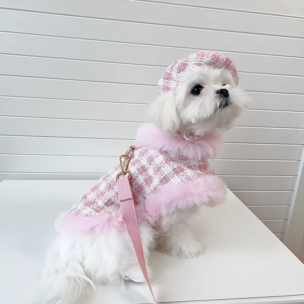 Pink cat clothing set with beret and cape for pet costume wear