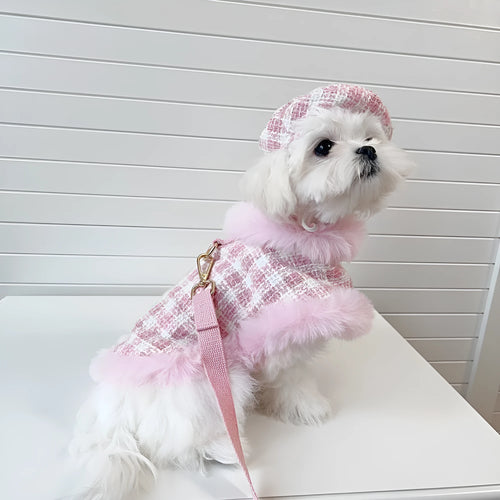 Pink cat clothing set with beret and cape for pet costume wear