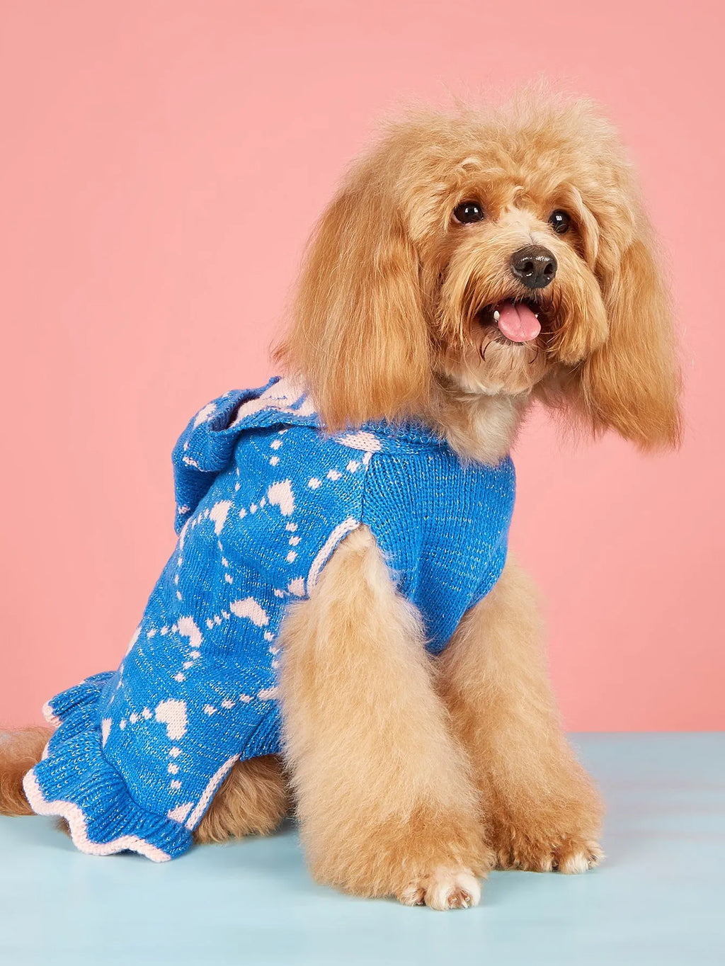 Small dog wearing blue knit sweater hoodie dress with heart motif on front