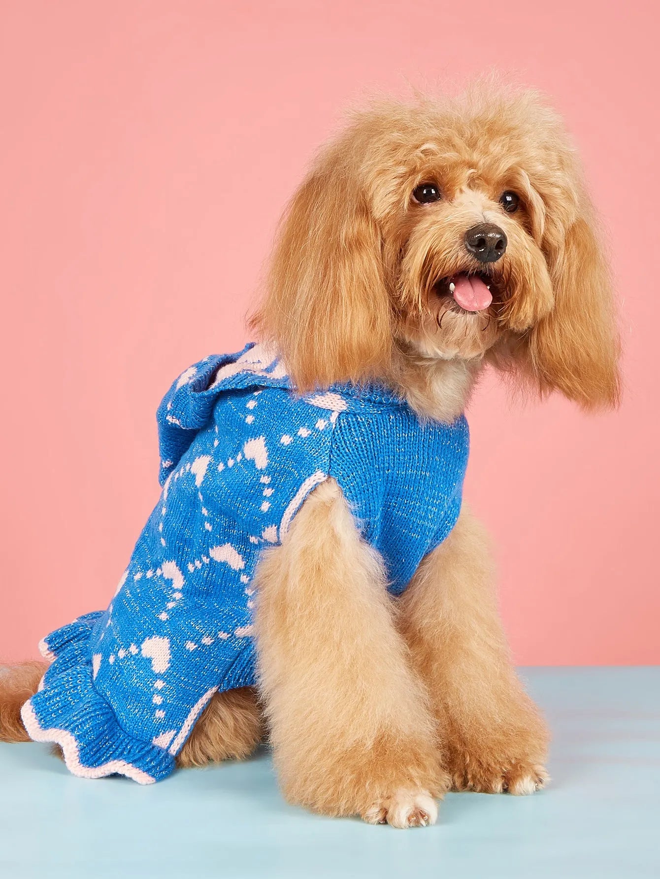 Small dog wearing blue knit sweater hoodie dress with heart motif on front
