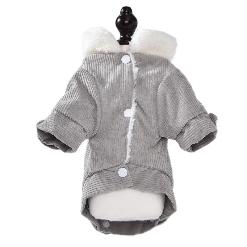 Dog wearing fleece-lined lambswool vest in grey colour with wool lining visible