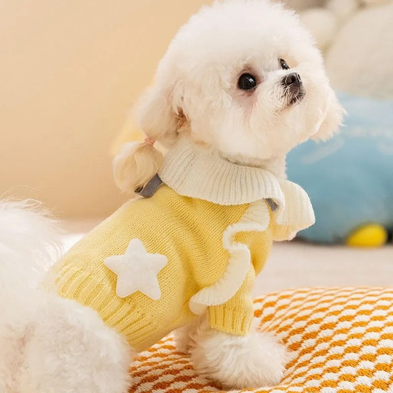 Yellow knitted dog sweater with star pattern and turtleneck on small breed puppy