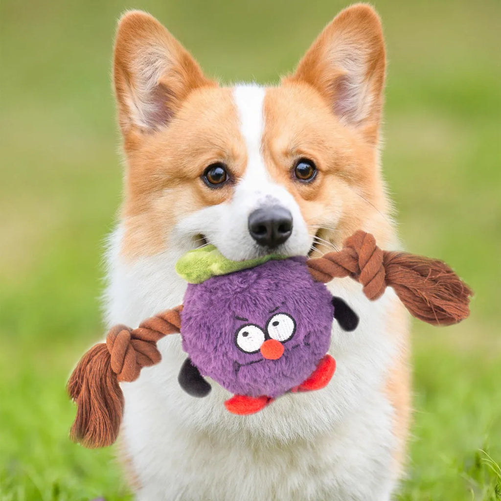 Green and purple interactive dog toy with plush centre and knotted rope tug-of-war arms