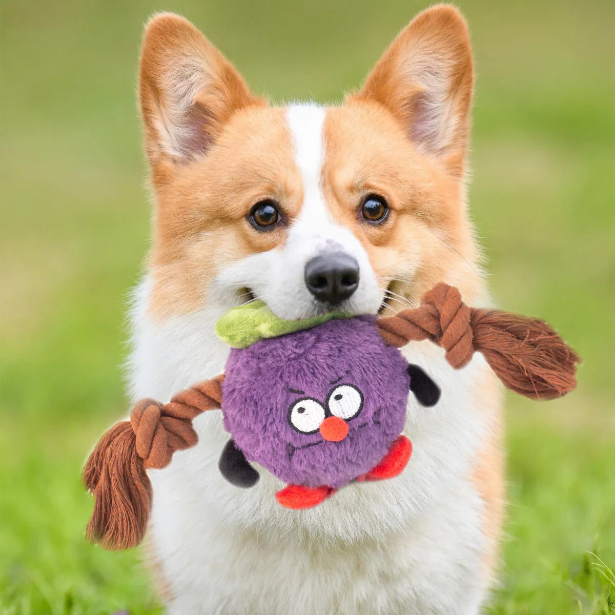 Green and purple interactive dog toy with plush centre and knotted rope tug-of-war arms