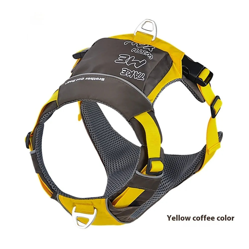 Orange and blue nylon dog chest strap vest harness with integrated hand rope shown on a medium-sized dog.