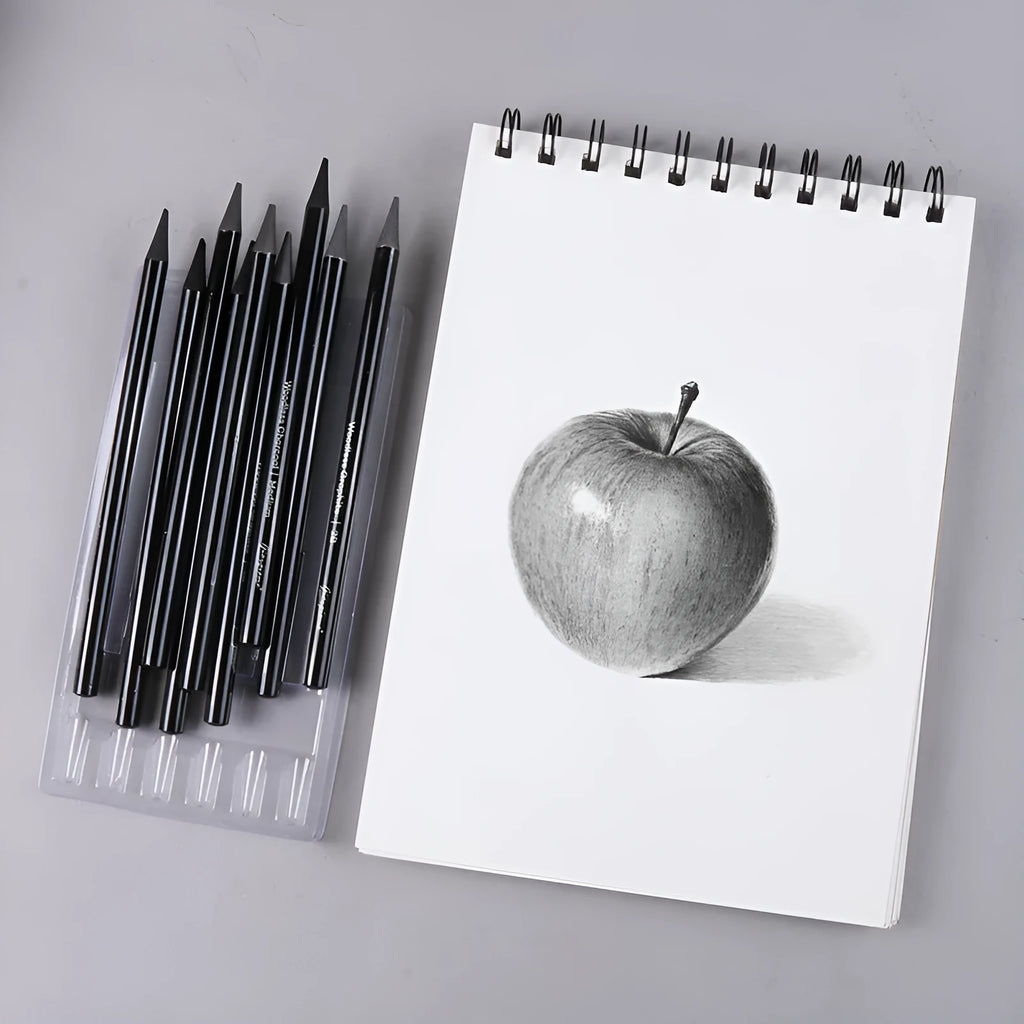 Wooden graphite and carbonized drawing pencils for artists on suction card packaging