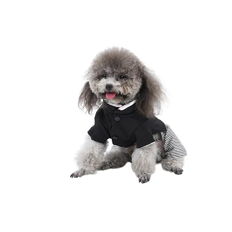 Thin cotton dog clothes for poodles in skirt and four-legged pants styles for spring and autumn seasons