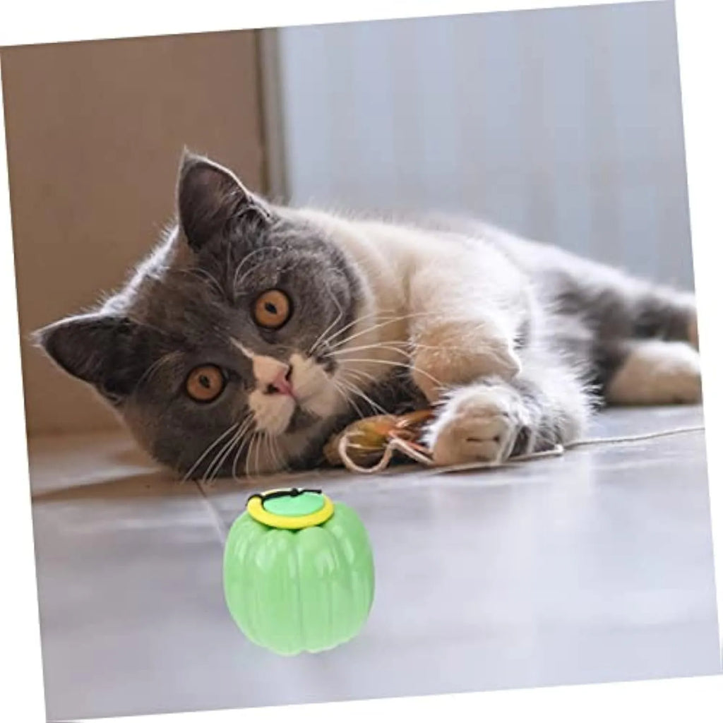 Orange plastic pumpkin-shaped dog chew toy with a squeaker, shown next to a measuring tape indicating its 68mm size.