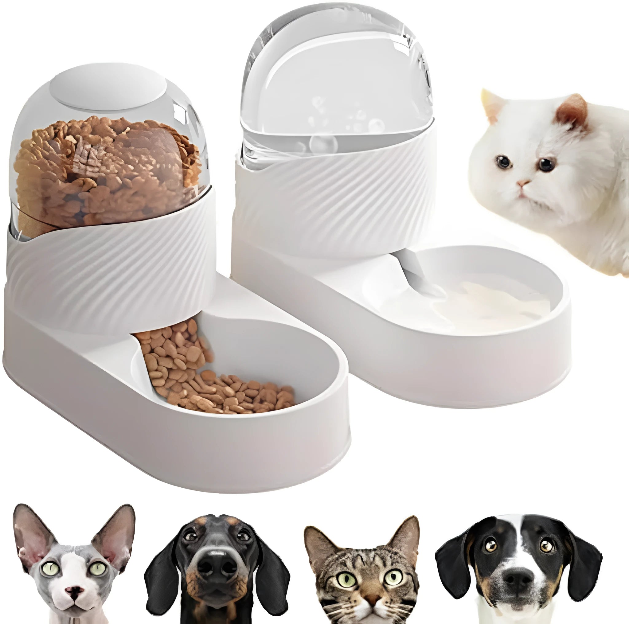 White automatic cat feeder and water dispenser set with wave design