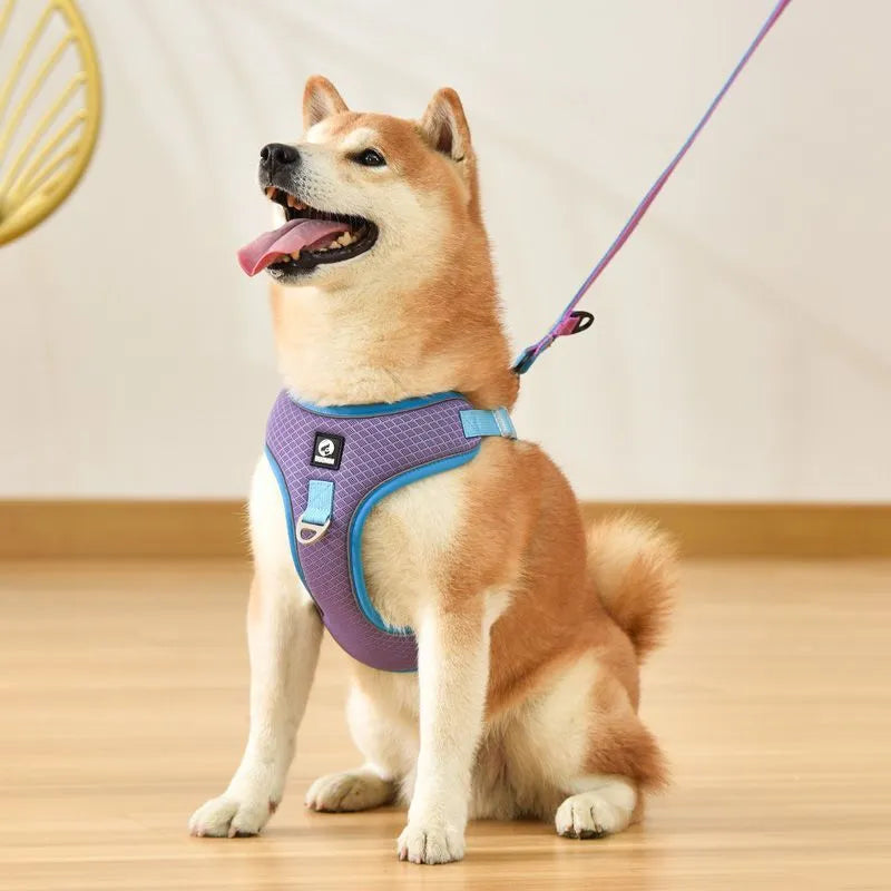 Adjustable breathable mesh dog harness with reflective piping in four colour options