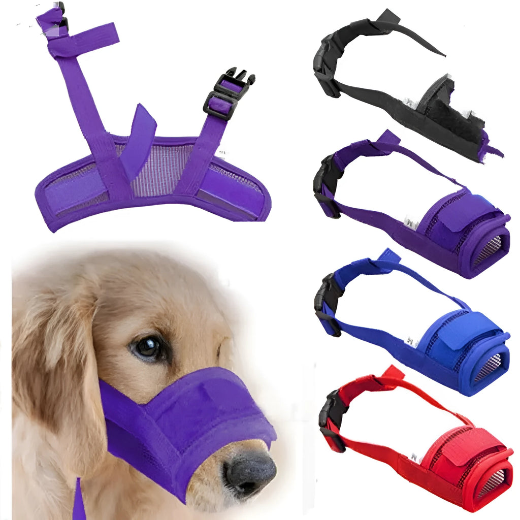 Adjustable plastic dog muzzle in multiple colours with size options for different mouth measurements