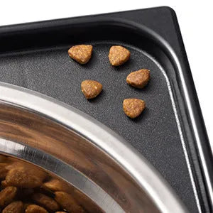 Black pet lifting feeding bowl with stainless steel double bowls and anti-tumble base for medium large dogs