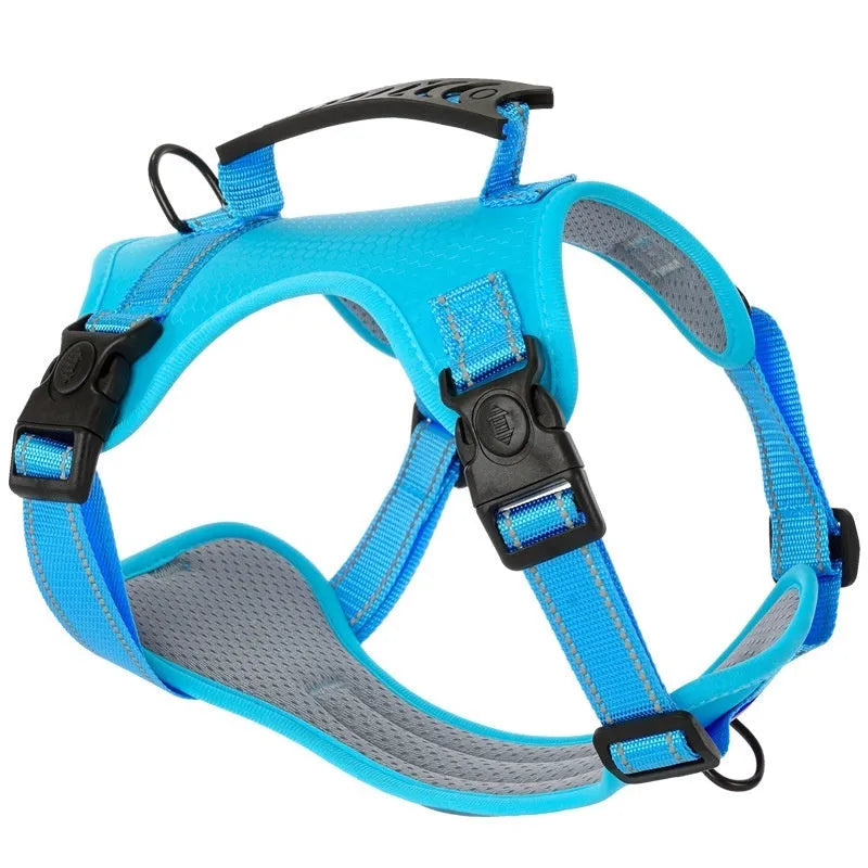 Polyester dog chest harness traction rope in multiple colours with size options