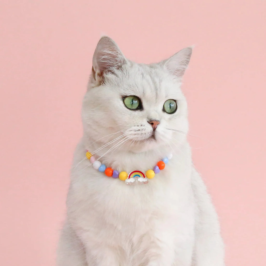 Colourful plastic bead pet necklace for dogs and cats with adjustable sizing options