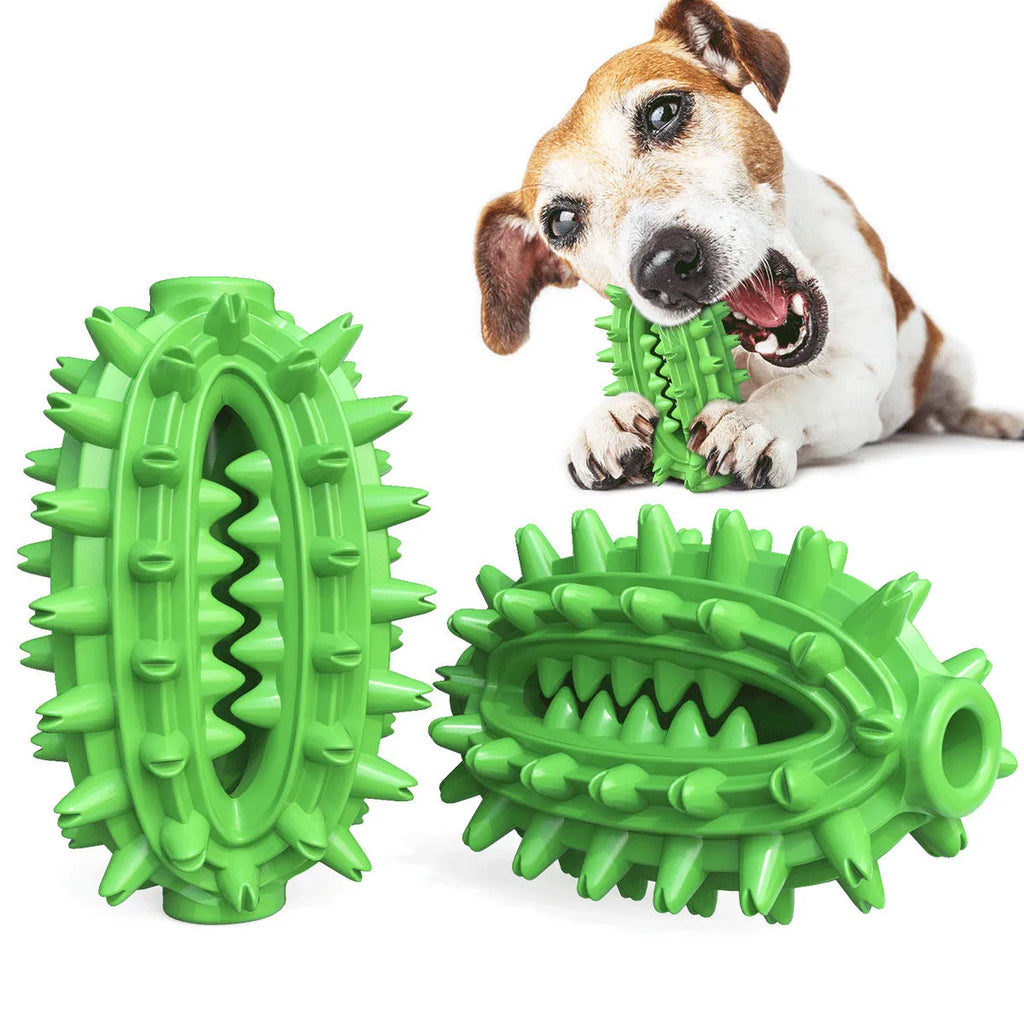 Green cactus-shaped dog toothbrush toy for medium to large breed aggressive chewers