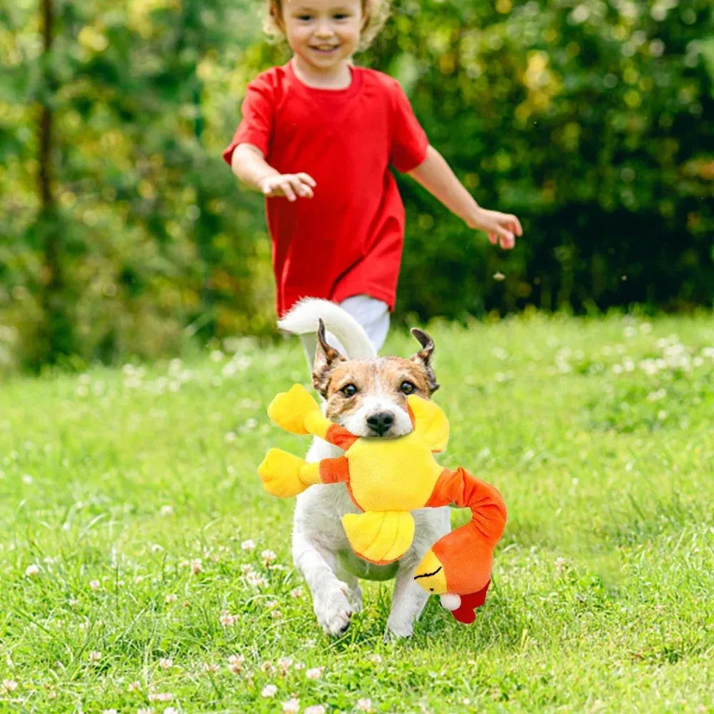 Screaming chicken sound dog toy in natural rubber with bite-resistant construction for interactive chewing play