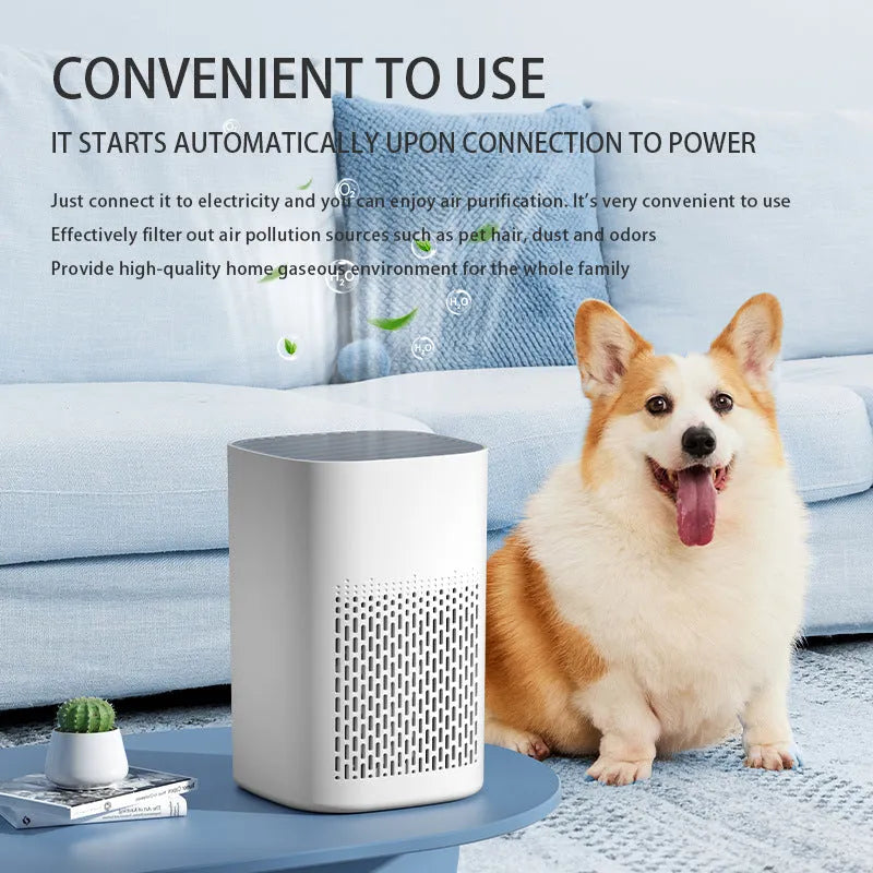 Simple style desktop air purifier with USB port for small room odour and smoke removal.