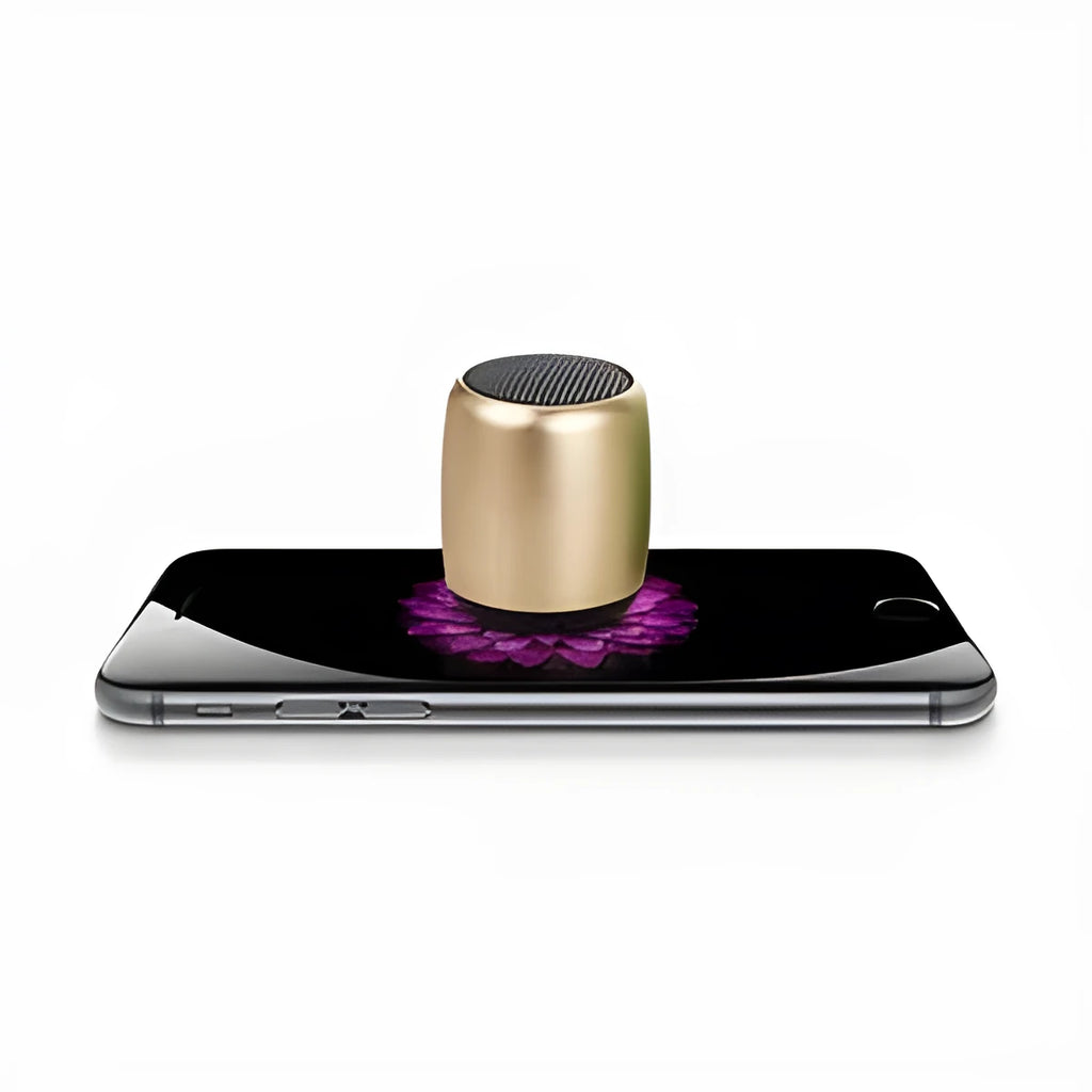 Portable mini Bluetooth wireless speaker in black blue gold or pink colour