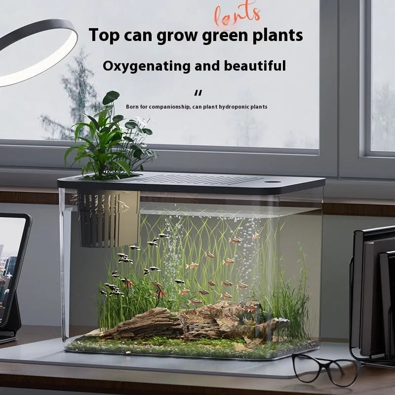 Medium black plastic betta fish tank with cover on a desktop