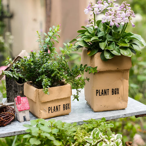 Cement brown paper box design flowerpot with drainage holes for indoor planting