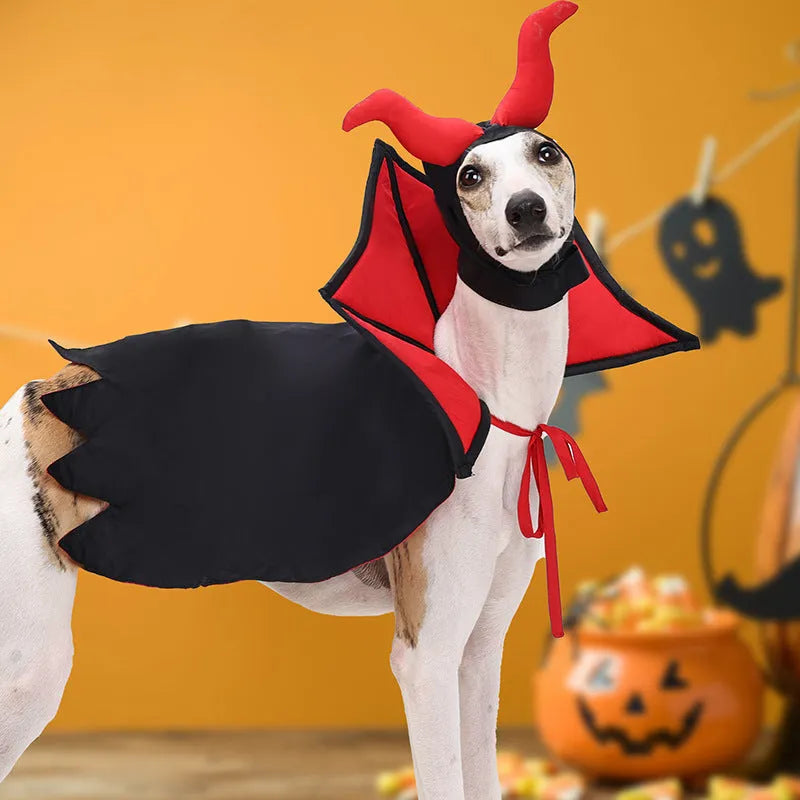 Black vampire cloak and pointed hat Halloween costume for a small dog or cat.