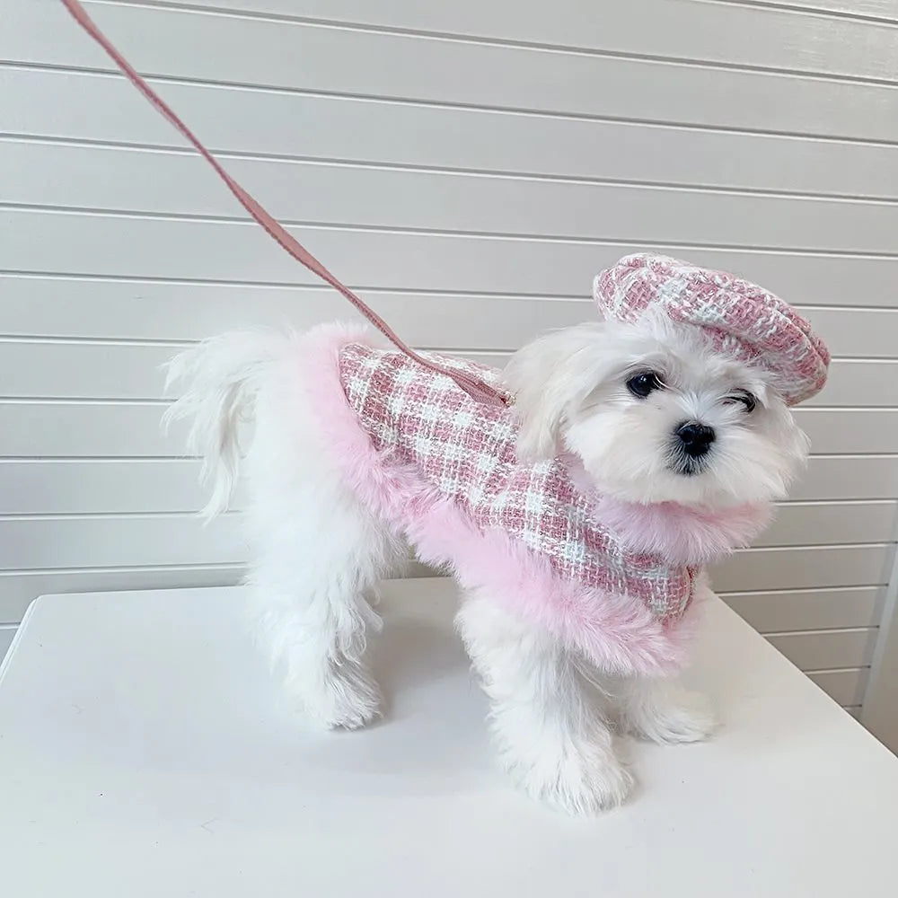 Pink cat clothing set with beret and cape for pet costume wear