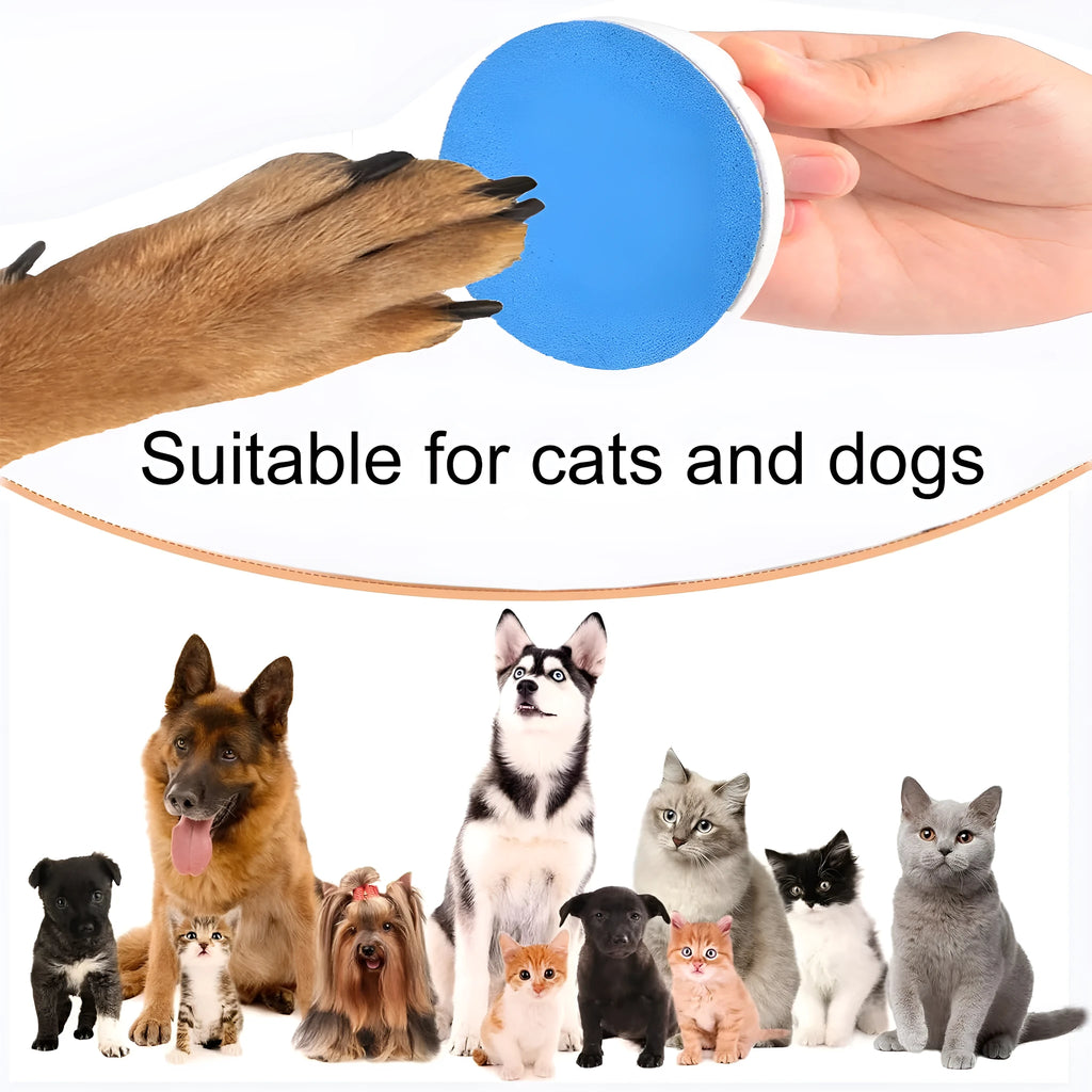Dog nail file grooming board with ergonomic handle in blue colour on a white background.