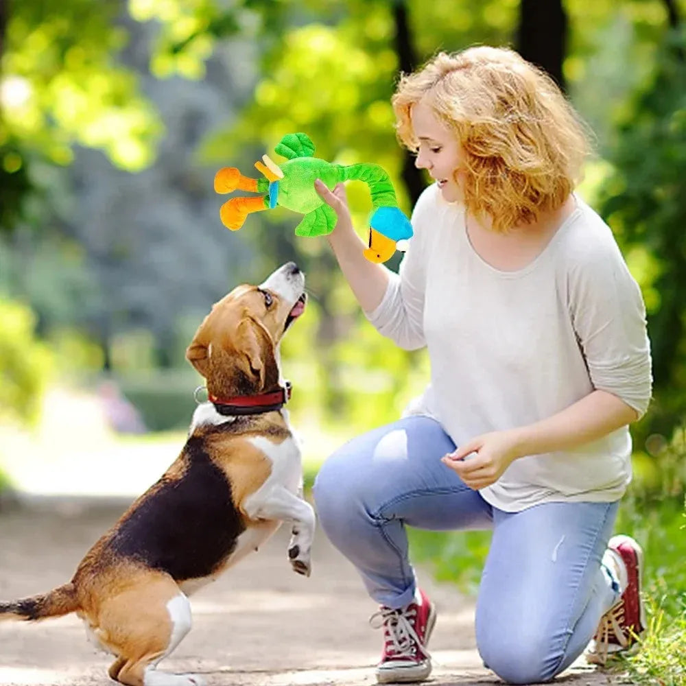 Screaming chicken sound dog toy in natural rubber with bite-resistant construction for interactive chewing play