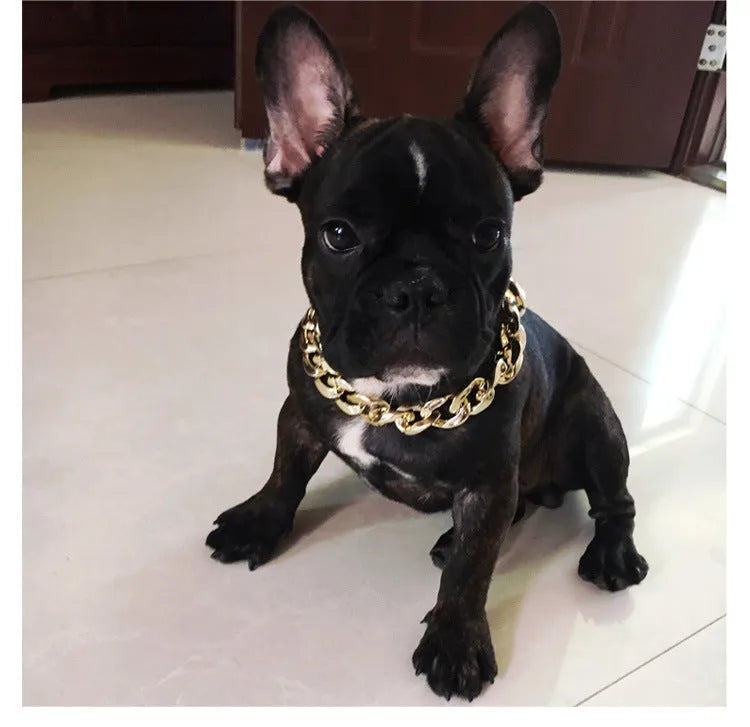 Geometric twisted chain dog collar in gold colour with plastic/resin construction for small-medium pets
