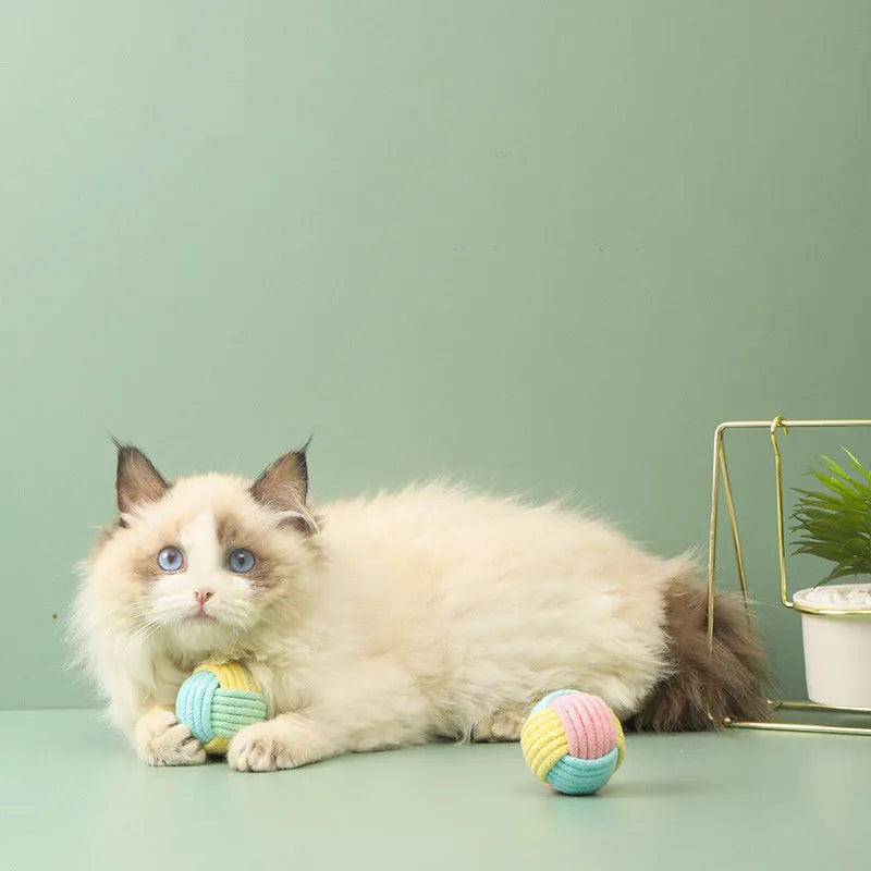 Small handmade blue and pink cotton plush ball cat toy for play and teeth grinding, shown next to a 5cm scale.