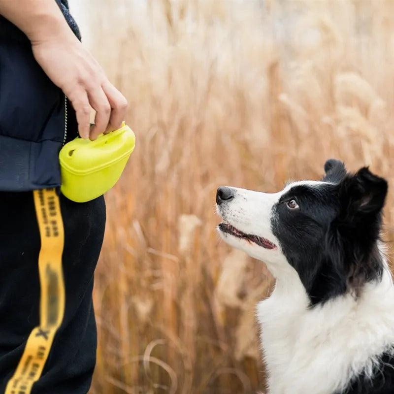 Silicone dog training treat waist bag with clip and magnetic closure in multiple colours