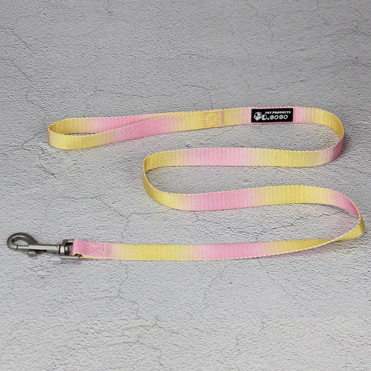 Nylon dog leash and gradient colour collar set in pink and blue, showing S and M size options.