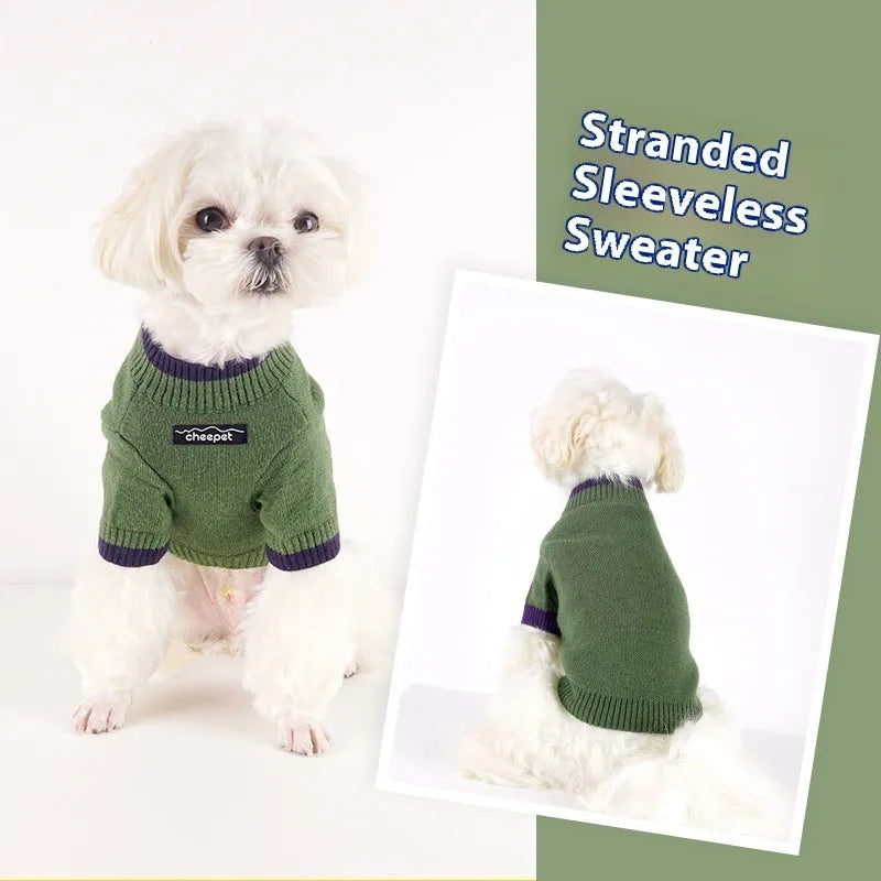 British style wool pet sweater with two-leg design in contrast colours for fall and winter wear