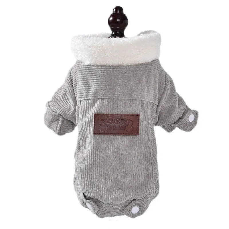 Dog wearing fleece-lined lambswool vest in grey colour with wool lining visible