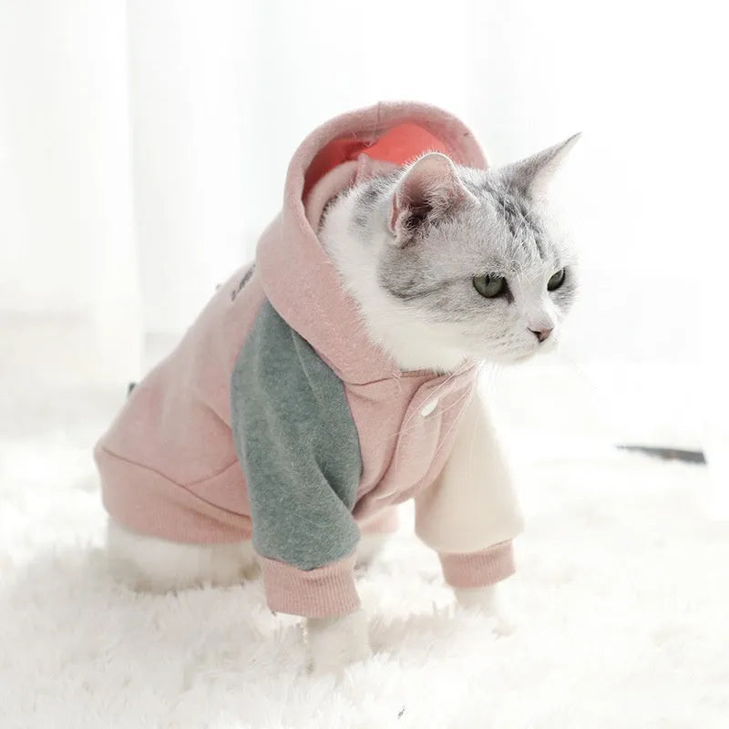 Cotton dog sweatshirt in brown, green or pink colours showing size range XS to 2XL