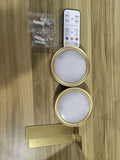 Golden battery powered LED art display wall lamp with ABS PC shade and remote control