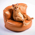 Lazy cat car ornament figure with sofa accessory on dashboard
