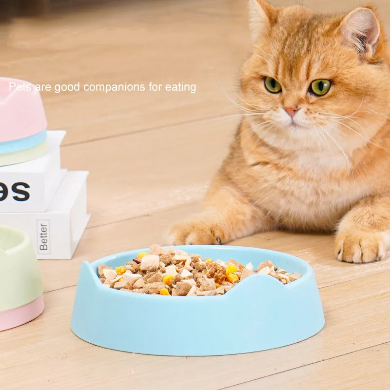 Ceramic dog slow feeder bowl with maze pattern in blue, green or pink colour options
